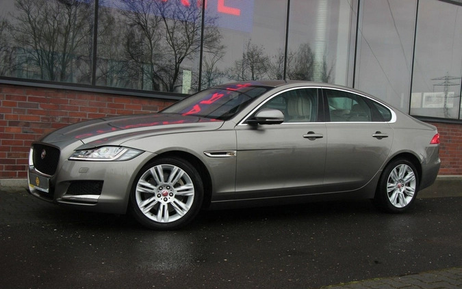 Jaguar XF cena 125990 przebieg: 23000, rok produkcji 2018 z Łasin małe 781